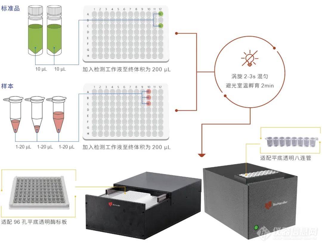 震撼上市 | TWINKLE高通量荧光计开启核酸定量96孔加速时代！