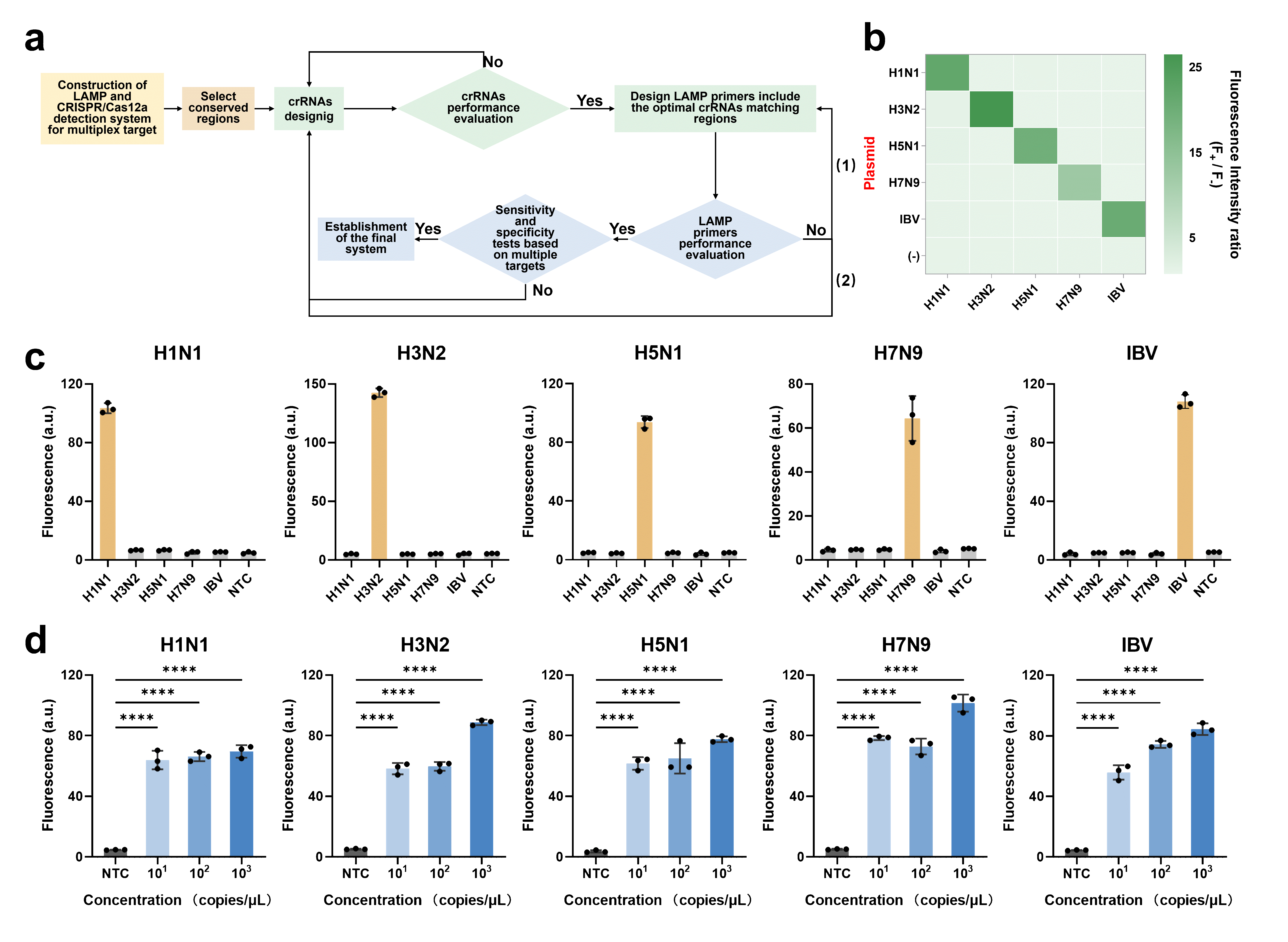 科学岛团队在微流控CRISPR-Dx检测流感病毒分型研究方面取得新进展