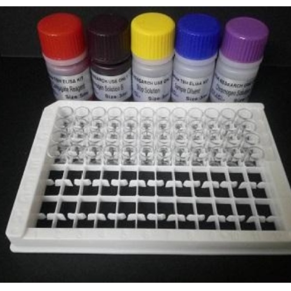 兔子中性粒细胞弹性蛋白酶(NE)Elisa试剂盒