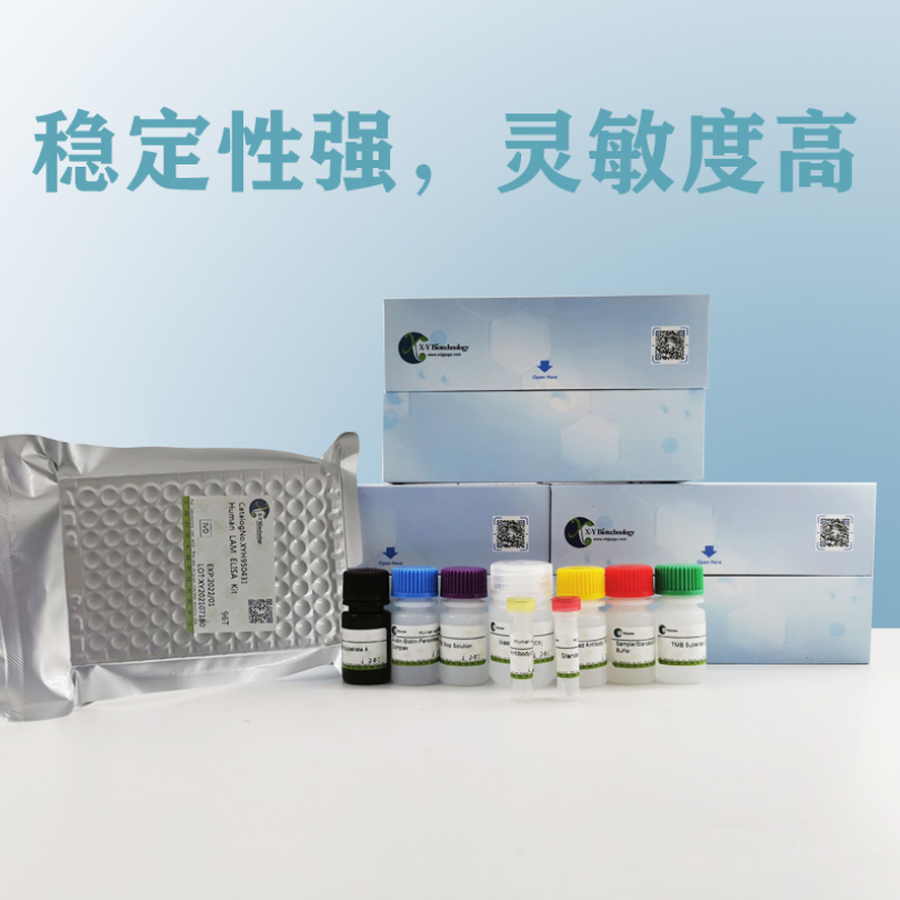 Human MSTN(Growth/differentiation factor 8) ELISA Kit XY9H1870