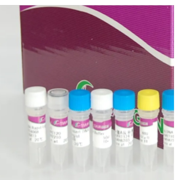牛副流感病毒抗体(PIV-Ab)Elisa试剂盒