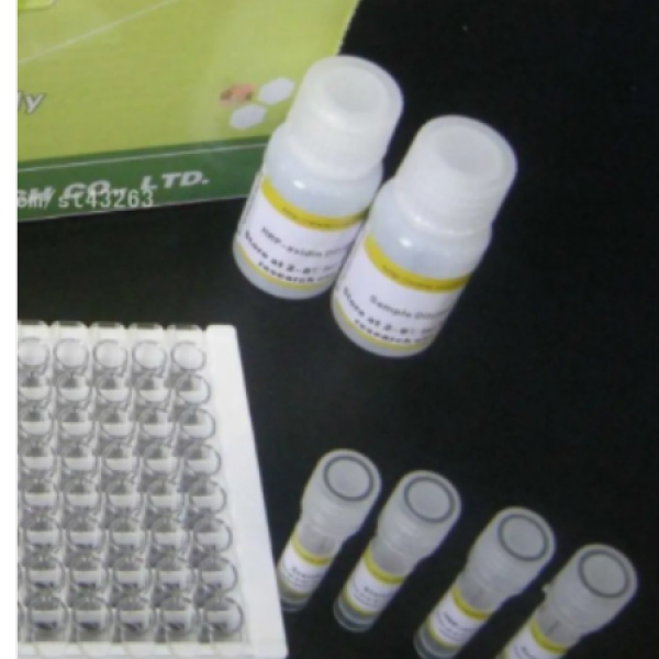 豚鼠白三烯B4(LTB4)Elisa试剂盒