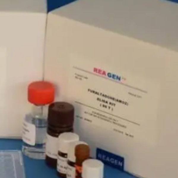 人蛋白酪氨酸激酶(PTK/CD115)Elisa试剂盒