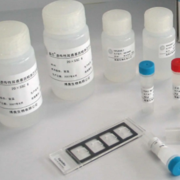 人未甲基化寡聚脱氧核苷酸(CpG-ODN)Elisa试剂盒
