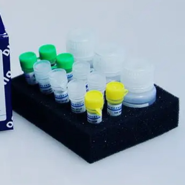 人胎盘核糖核酸抑止剂(HPRI)Elisa试剂盒