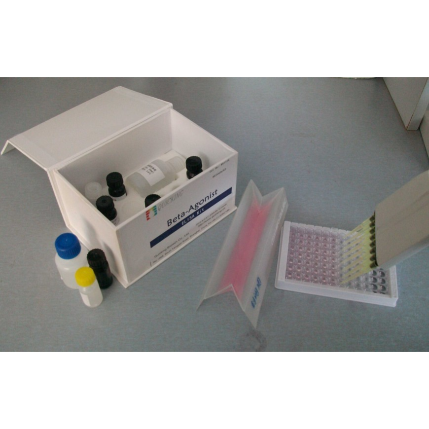 亮氨酸氨基肽酶（LAP）测试盒 可见分光光度法
