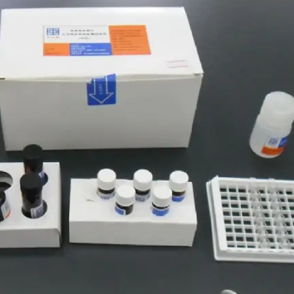小鼠胃肠癌标志物CA199Elisa试剂盒