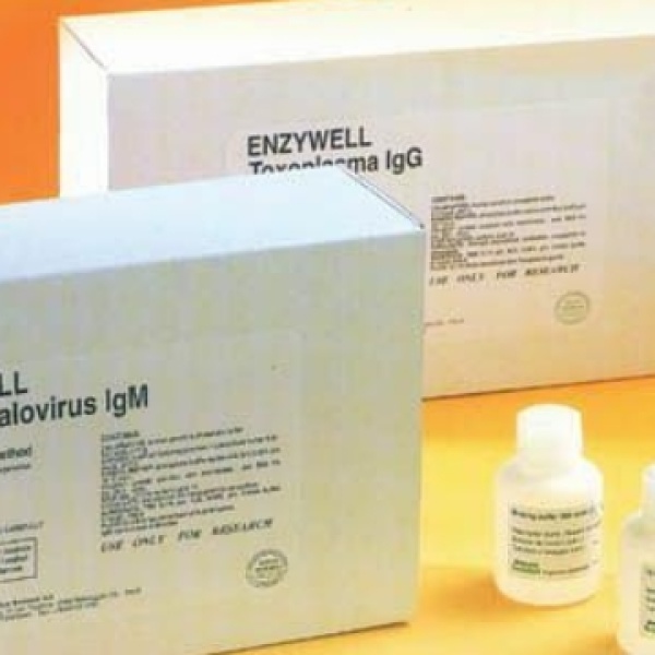 人乳头状瘤病毒抗体IgM(HPV-IgM)Elisa试剂盒