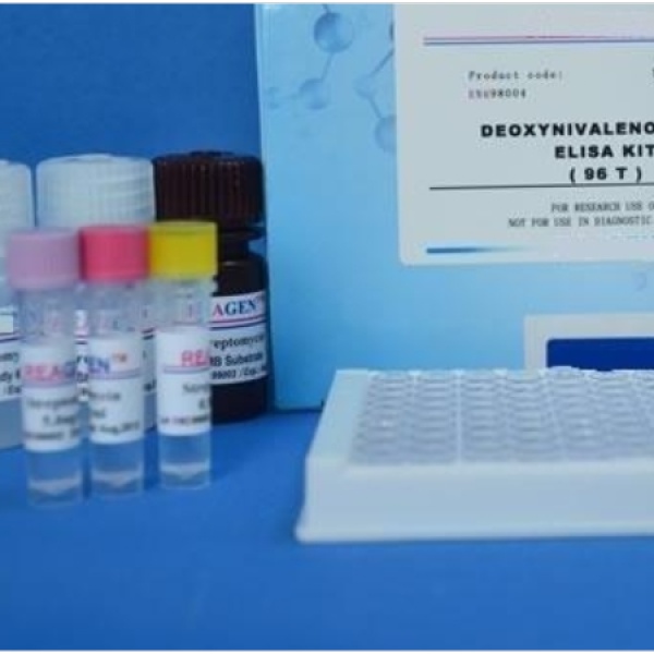 人透明质酸结合蛋白(HABP)Elisa试剂盒