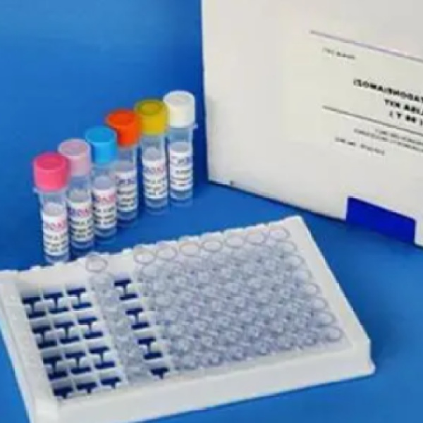 猪转化生长因子β1(TGF-β1)Elisa试剂盒
