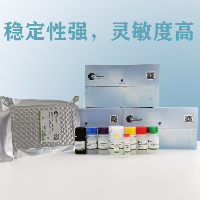 Lactate ELISA Kit XY9U3109