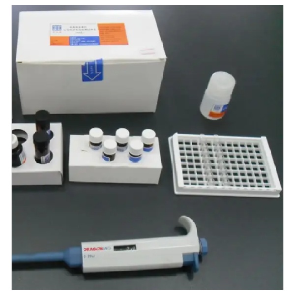人促甲状腺激素受体(TSHR)Elisa试剂盒