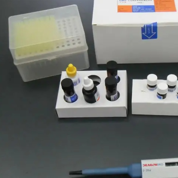 仓鼠HMG-CoA还原酶(HMGR)Elisa试剂盒