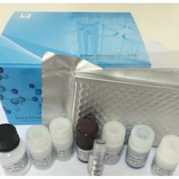 猴免疫球蛋白M(IgM)Elisa试剂盒