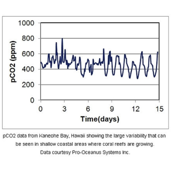 特纳 水下二氧化碳测量仪 C-sense