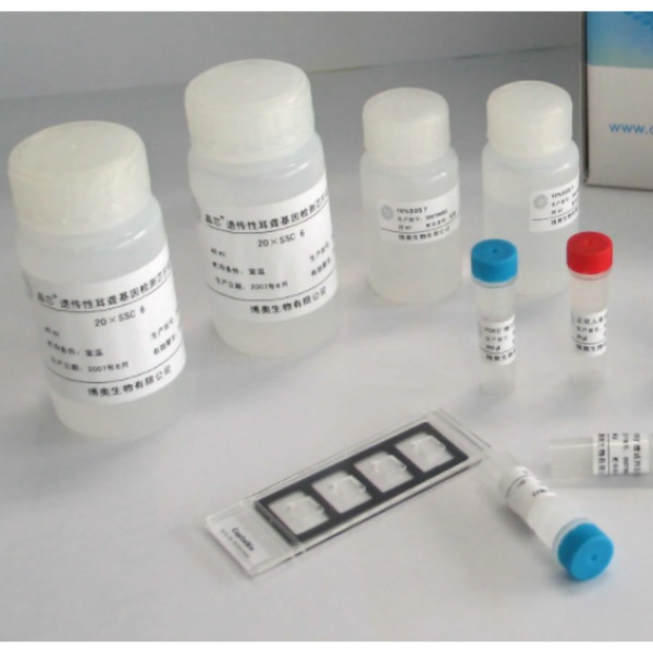 人缪勒管抑制物质抗缪勒管激素(MISAMH)Elisa试剂盒