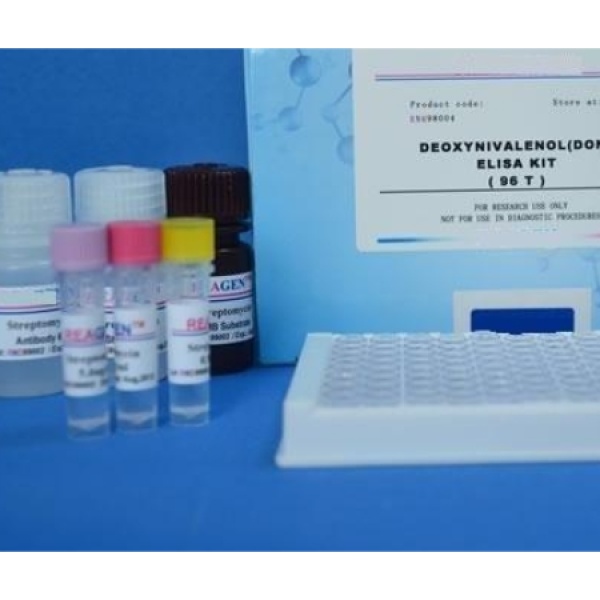猪Ⅰ型前胶原羧基端肽(PⅠCP)Elisa试剂盒