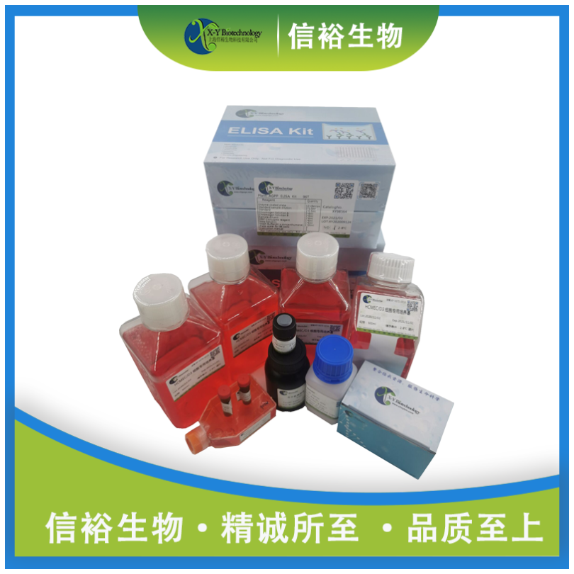 Mouse Vldlr(Very low-density lipoprotein receptor) ELISA Kit XY9M0489