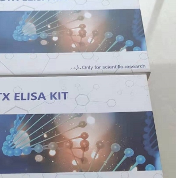 大鼠雌酮(E1)Elisa试剂盒