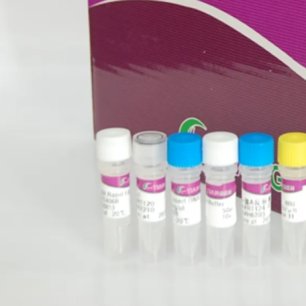 大鼠凝溶胶蛋白(Gelsolin)Elisa试剂盒