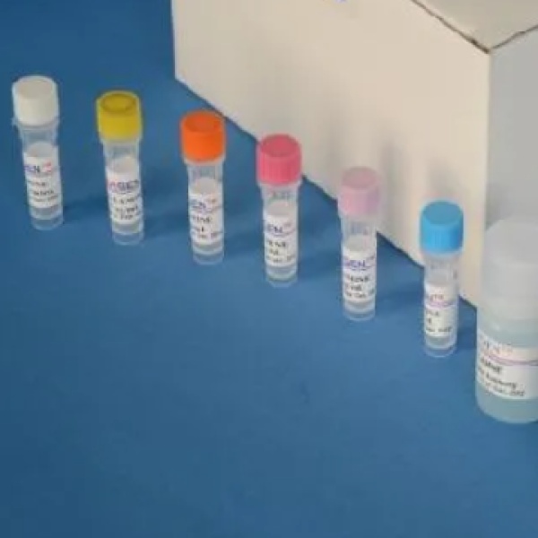 猪胰淀粉酶(PAMY)Elisa试剂盒