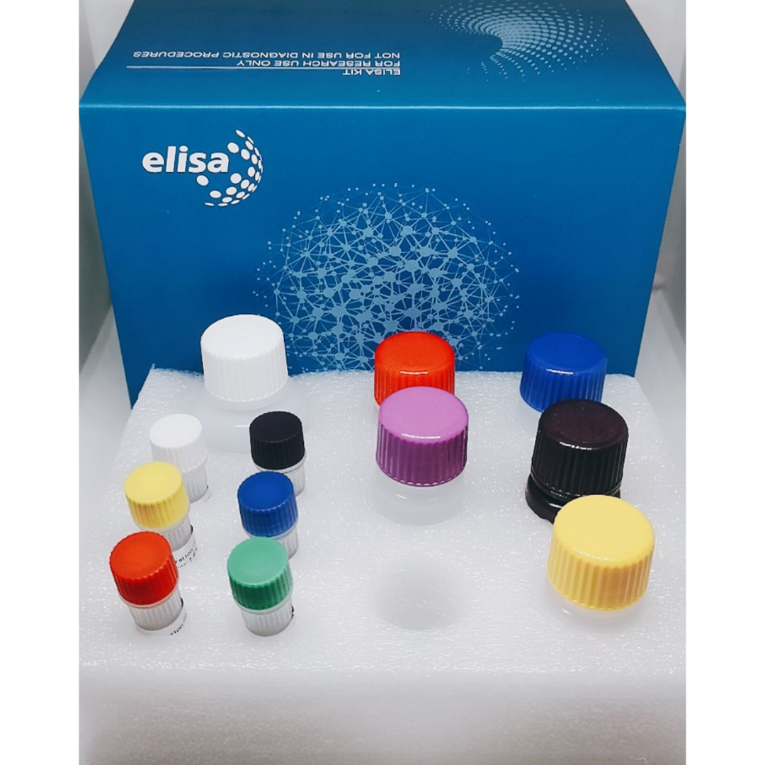 犬脂联素(ADP)ELISA检测试剂盒
