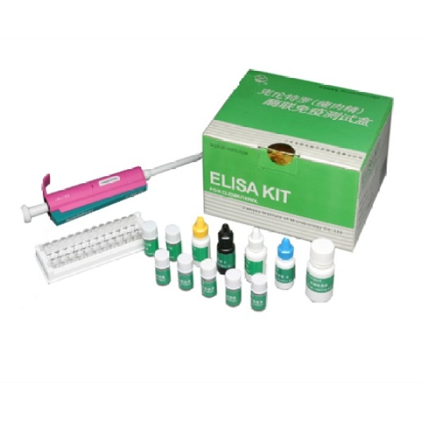 犬甲胎蛋白(αFP)ELISA检测试剂盒