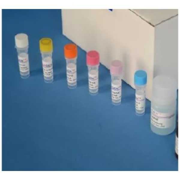 小鼠穿孔素/成孔蛋白(PF/PFP)Elisa试剂盒