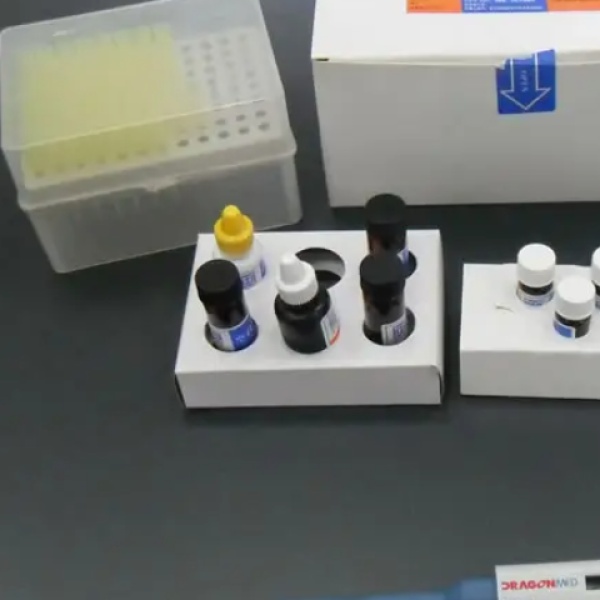 大鼠雌二醇受体(ER)Elisa试剂盒