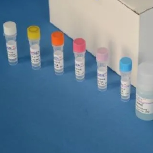 猪流感病毒H1N1抗体(SIV-H1N1Ab)Elisa试剂盒