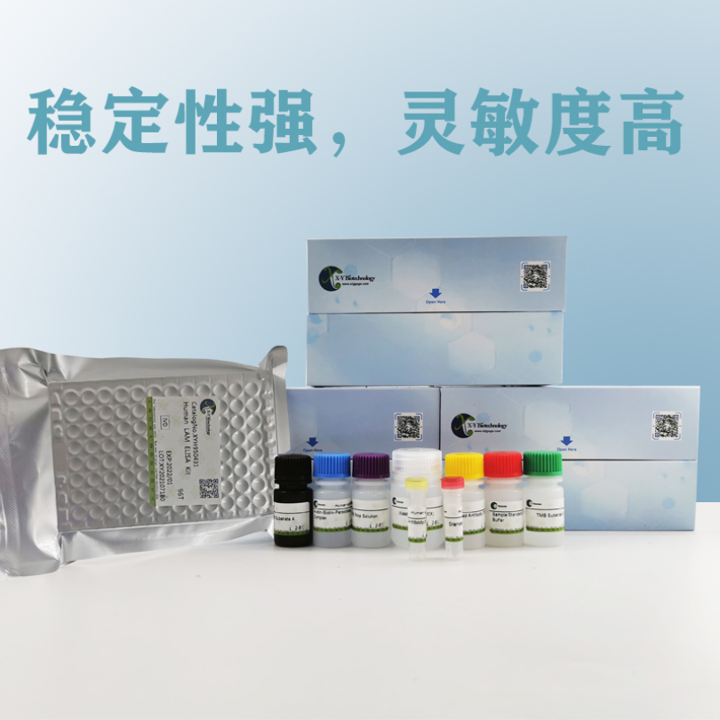 Mouse PAP(Plasmin-Antiplasmin Complex) ELISA Kit XY9M1264