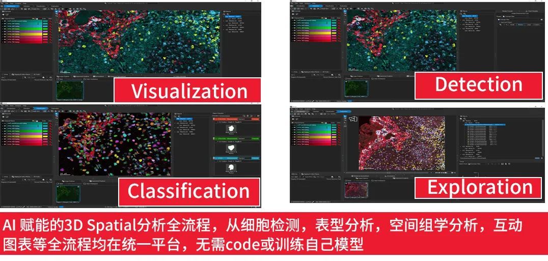 直播预告 | 新款Aivia 14：AI赋能的更深入的3D空间组学洞见