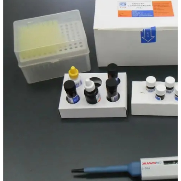 大鼠胎球蛋白A(FETUINA)Elisa试剂盒