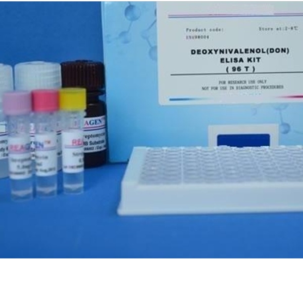 人转谷氨酰胺酶2C多肽(TGM2)Elisa试剂盒