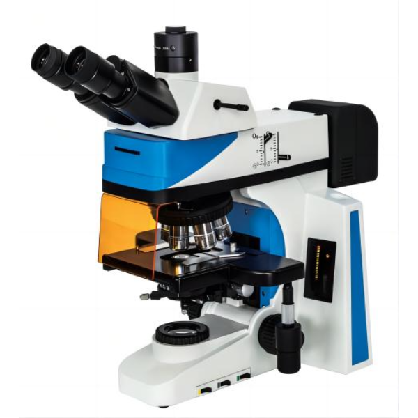 科研级正置生物荧光显微镜