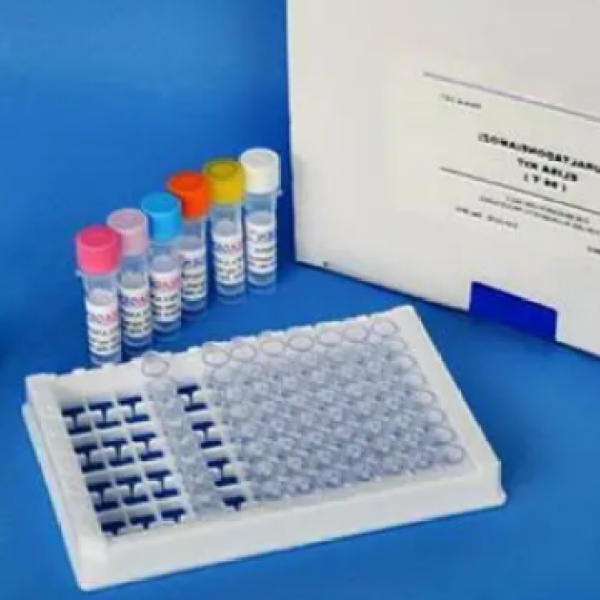 猪E选择素(E-Selectin/CD62E)Elisa试剂盒