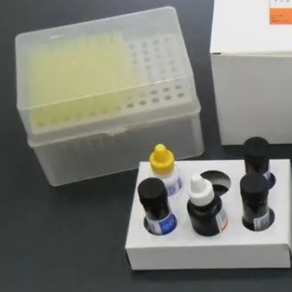 豚鼠淋巴细胞脉络丛脑膜炎病毒(LCMAb)Elisa试剂盒