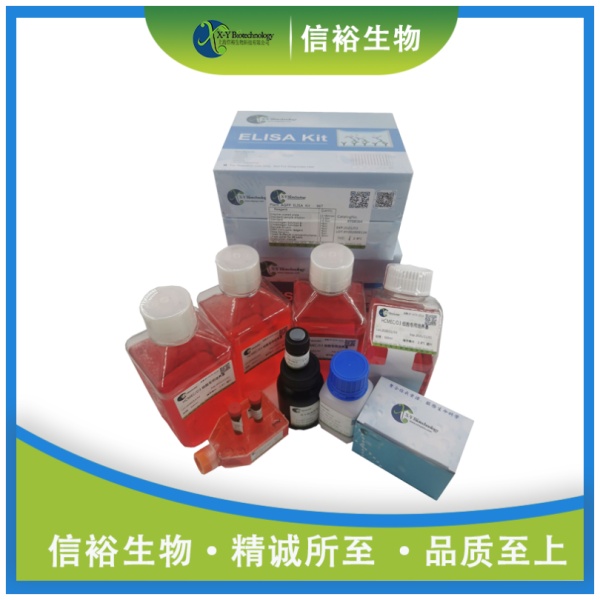Mouse HHIP(Hedgehog Interacting Protein) ELISA Kit XY9M1115