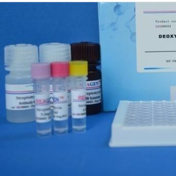 大鼠周期素依赖性激酶5(CDK5)Elisa试剂盒