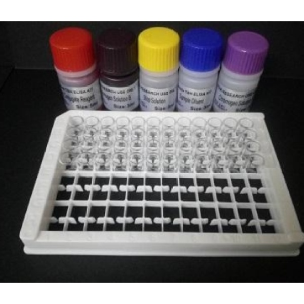 人抗肝素PF4复合物抗体HIT抗体(HIT)Elisa试剂盒