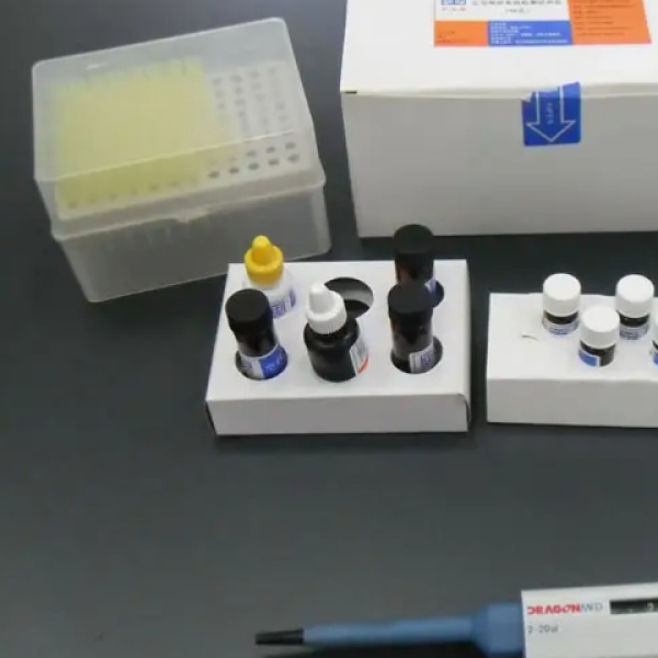 小鼠抗中性粒/中心体抗体(ACA)Elisa试剂盒