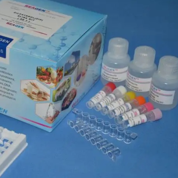 大鼠缪勒管抑制物质/抗缪勒管激素(MIS/AMH)Elisa试剂盒