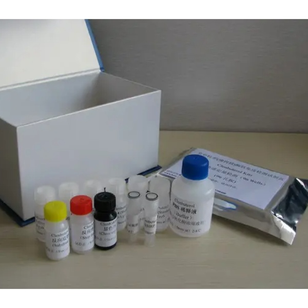 大鼠线粒体钙离子单向转运蛋白(MCU)Elisa试剂盒