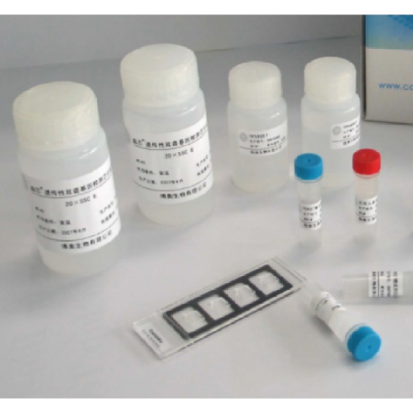 人半乳糖6硫酸酯酶(Gal-6S)Elisa试剂盒