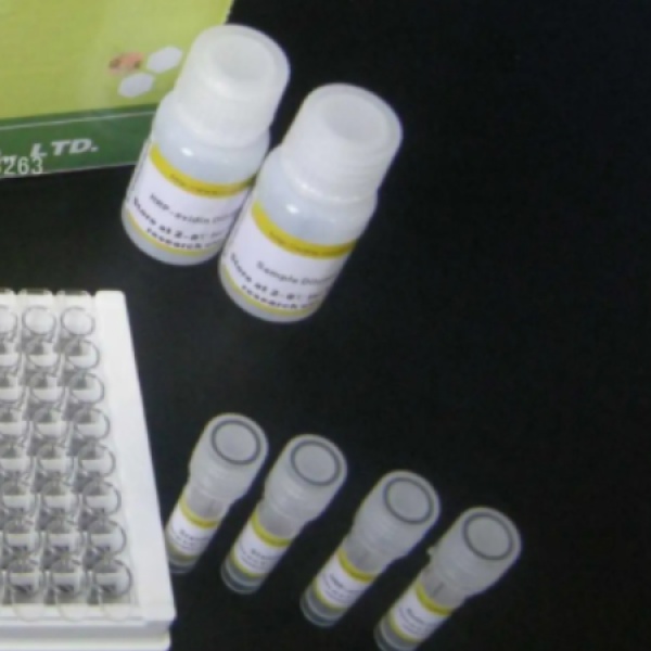 人窖蛋白(Cav-1)Elisa试剂盒