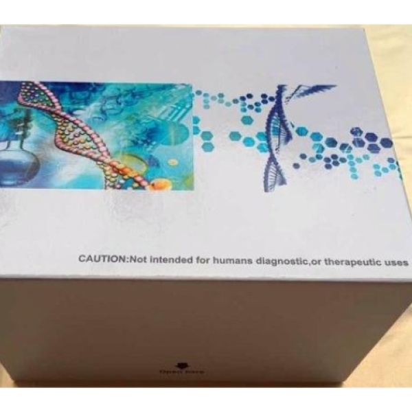 大鼠水通道蛋白5(AQP-5)Elisa试剂盒