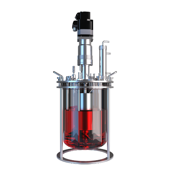 全自动玻璃生物反应器/发酵罐 BR系列