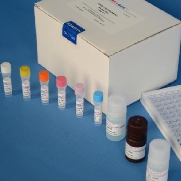 小鼠缪勒管抑制物质/抗缪勒管激素(AMH)Elisa试剂盒
