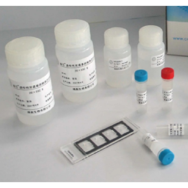 犬内皮型一氧化氮合成酶(eNOS)Elisa试剂盒