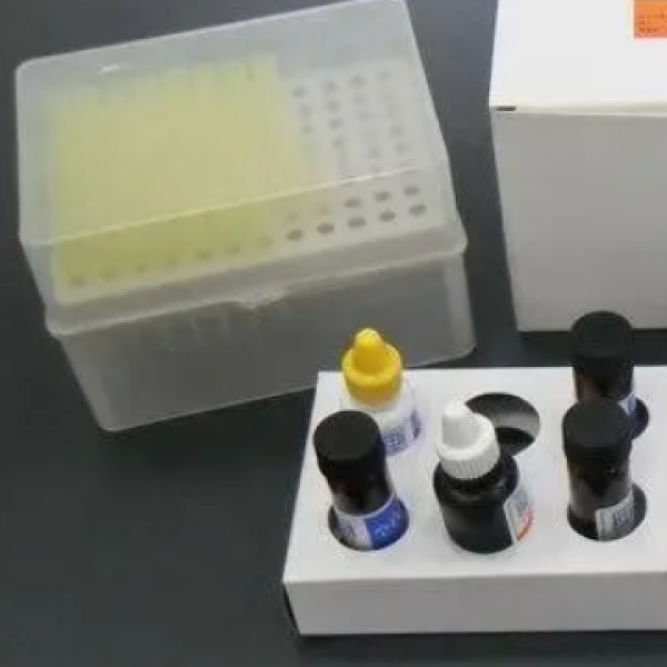 豚鼠内皮型一氧化氮合成酶(eNOS)Elisa试剂盒